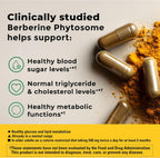 Nature Made Berberina Phytosome Absorción Mejorada, 1100 mg, 60 Cápsulas
