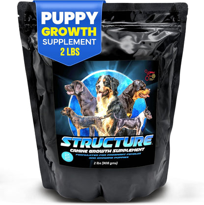 CPN Structure Suplemento para Cachorros y Perras Gestantes con DHA – Apoya el Desarrollo Cognitivo, Muscular y Óseo – – Image 1
