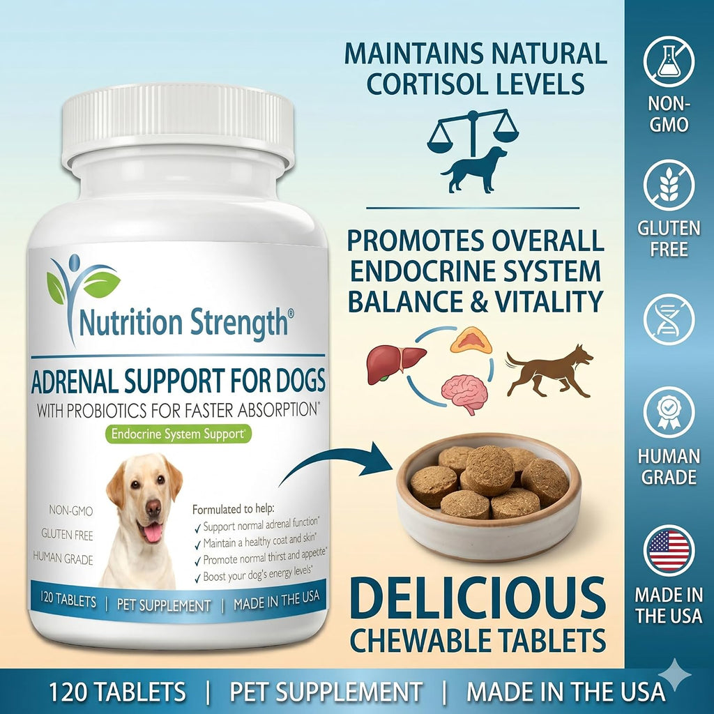 Nutrition Strength Adrenal Support for Dogs - Suplemento Adrenal para Perros, 120 Comprimidos Masticables