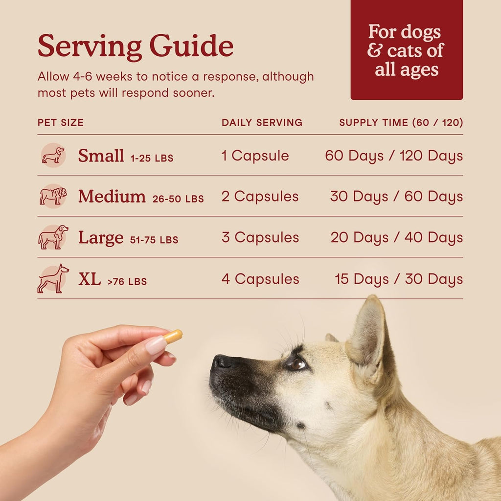 Fera Pets Suplemento Cardíaco para Perros y Gatos con Taurina, L-Carnitina y CoQ10 - 120 Cápsulas