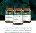 GAIA HERBS PRO Berberine Metabolic - Berberina HCI - 60 Cápsulas