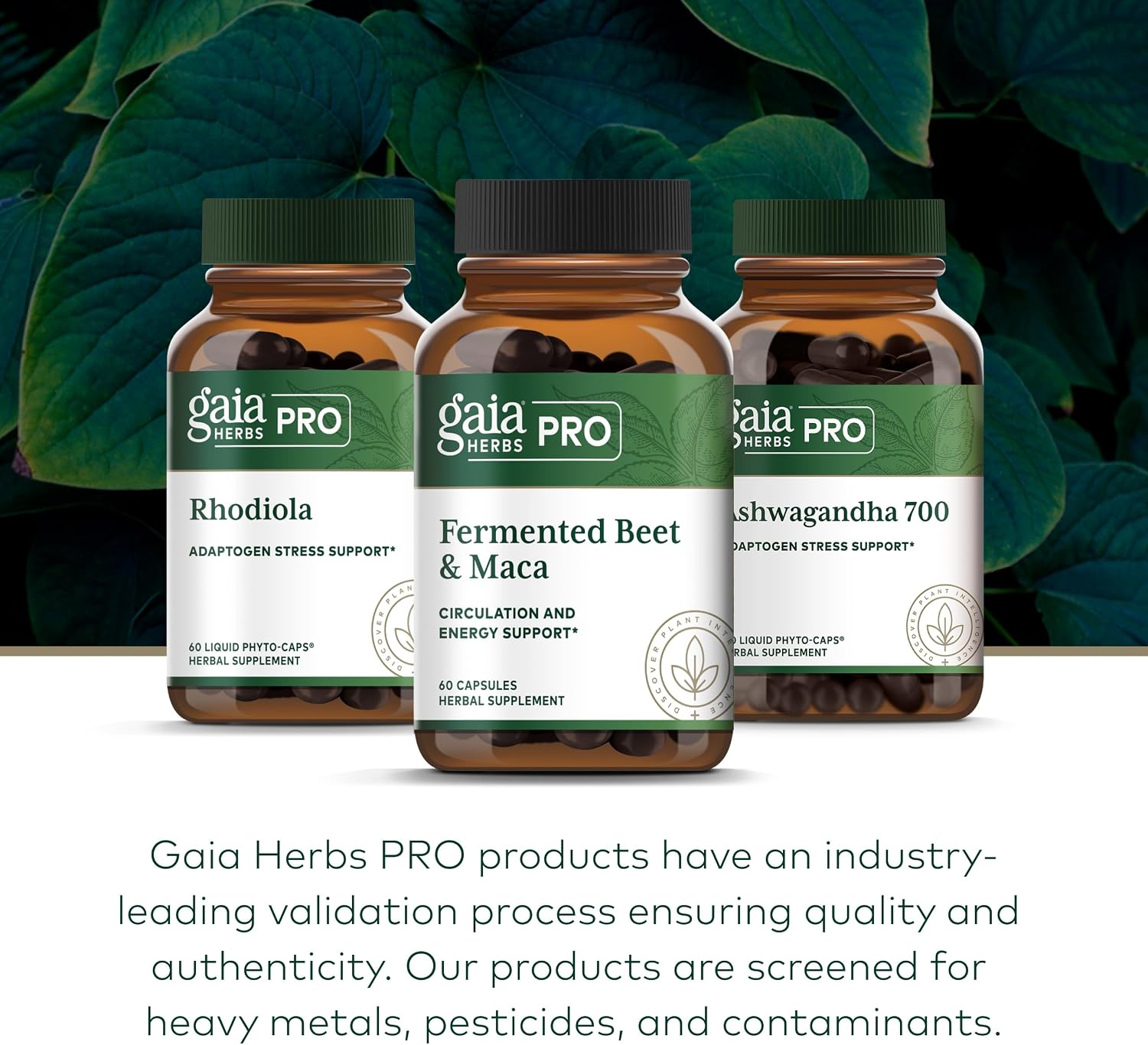 GAIA HERBS PRO Berberine Metabolic - Berberina HCI - 60 Cápsulas
