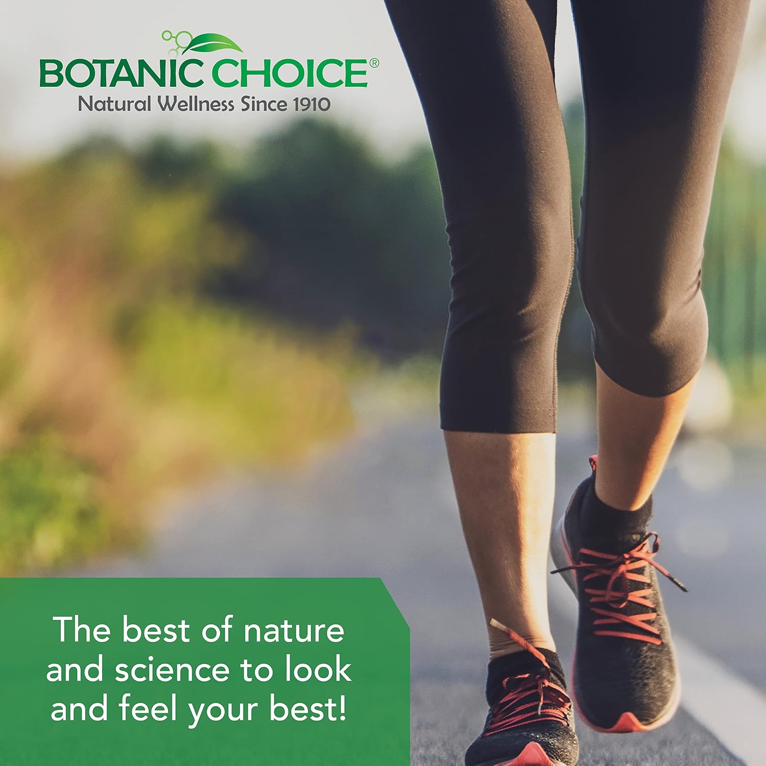 Botanic Choice Complejo Ácido Úrico para el Apoyo Articular – Alivia las Molestias con Semilla de Apio y Bromelina - 2 Unidades