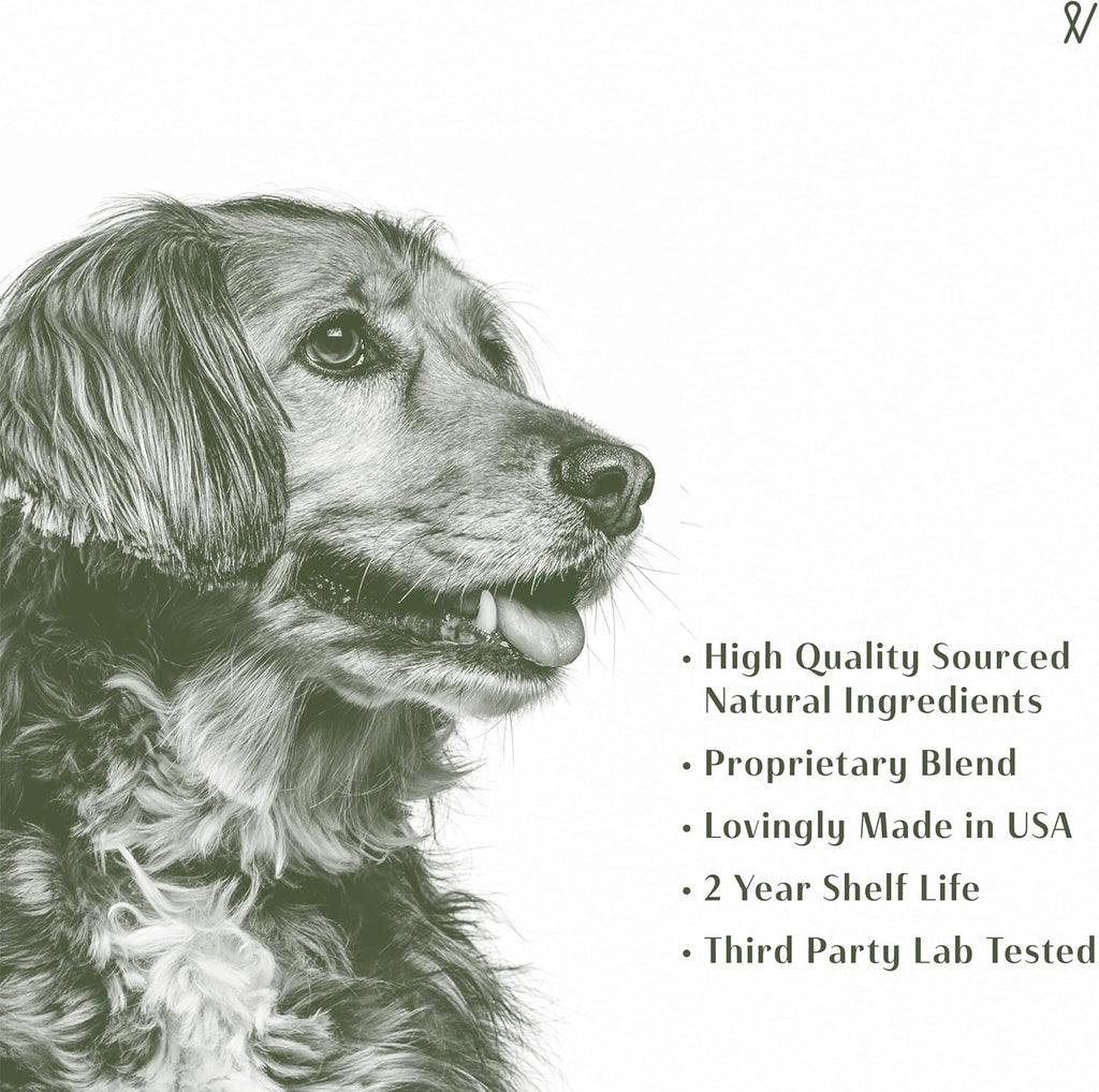 Everpath Sinus Support para Perros - 60ml - Apoyo Sinusal Natural