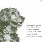 Everpath Sinus Support para Perros - 60ml - Apoyo Sinusal Natural