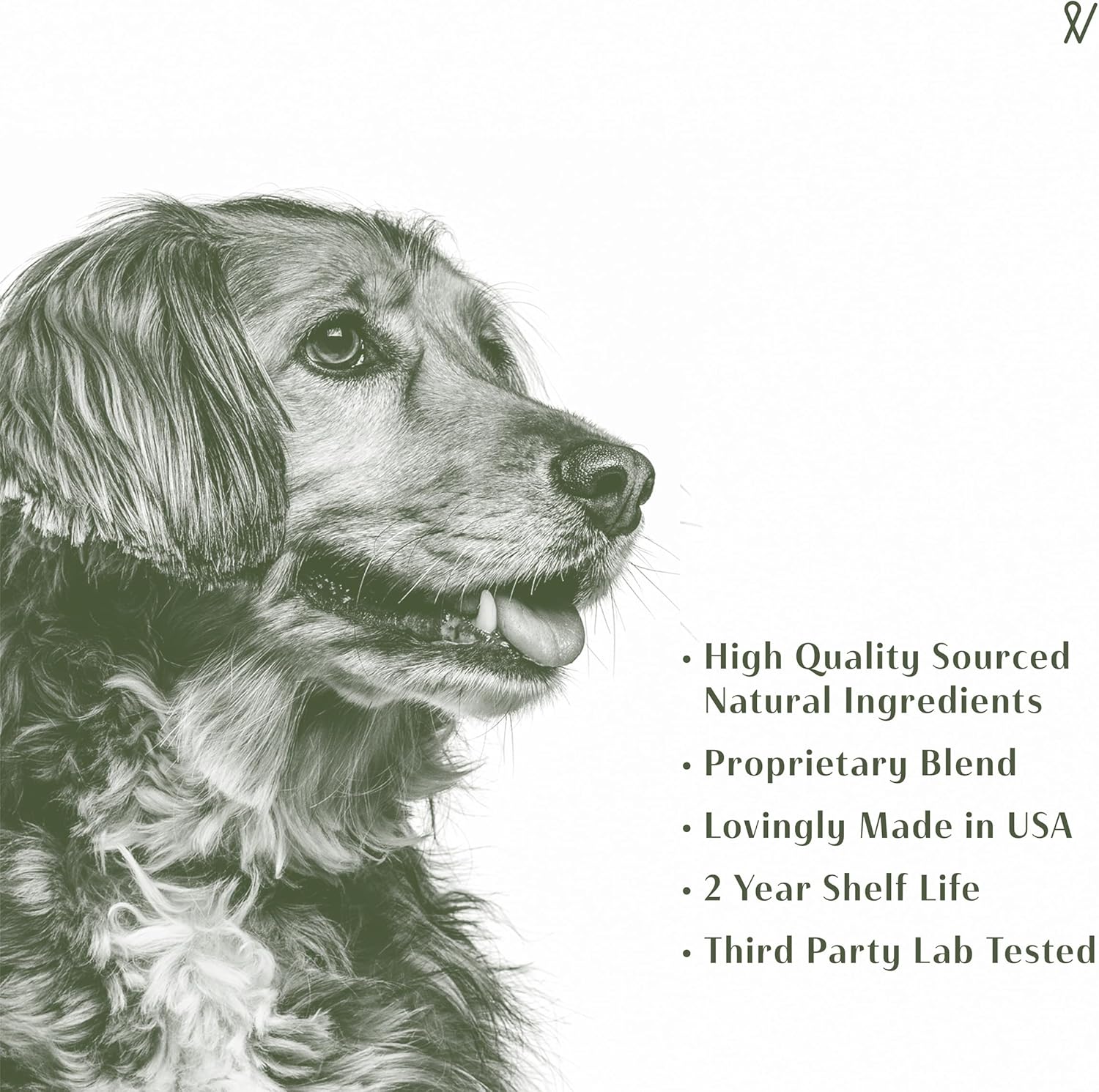 Everpath Sinus Support para Perros - 60ml - Apoyo Sinusal Natural
