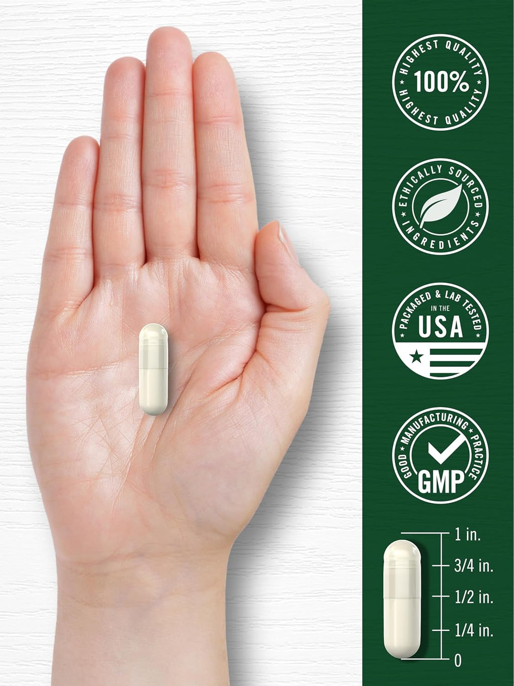 Carlyle Sulforafano 400 mcg - 180 Cápsulas de Extracto de Semilla de Brócoli