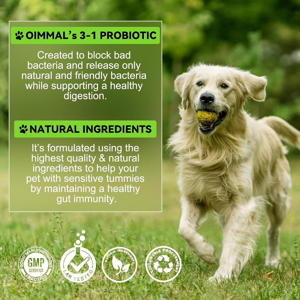 FANGCUN Probióticos 3 en 1 para Perros con Enzimas Digestivas, 60ml