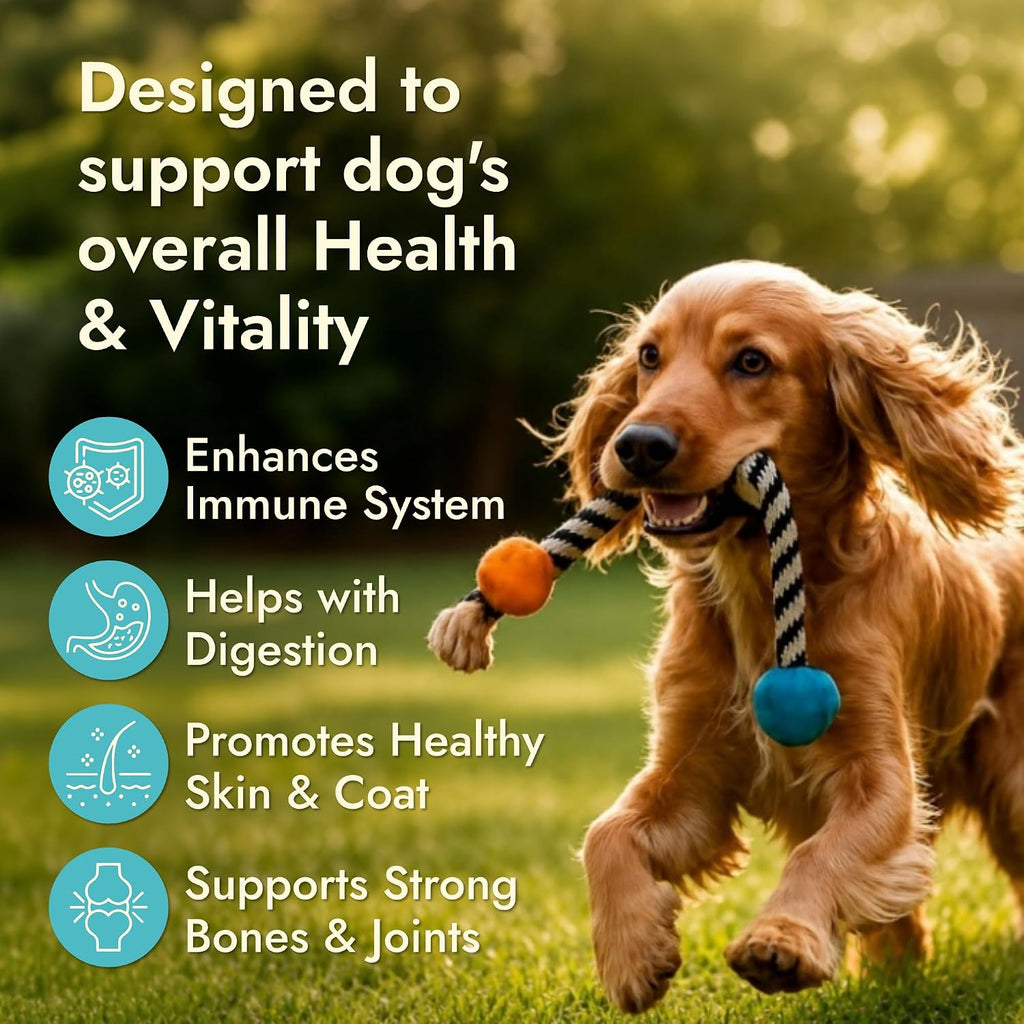 Pet Vet Multi Soft Chews para Perros (Hígado de Res, 60 Unidades)