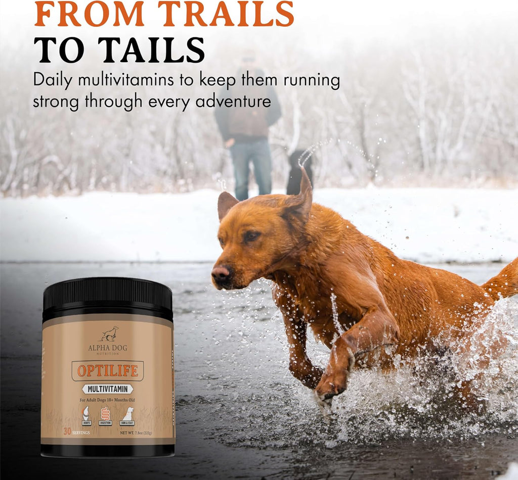 OptiLife Multivitamínico en Polvo para Perros - con Probióticos, Glucosamina, para Apoyo Articular y Digestivo (60 dosis)
