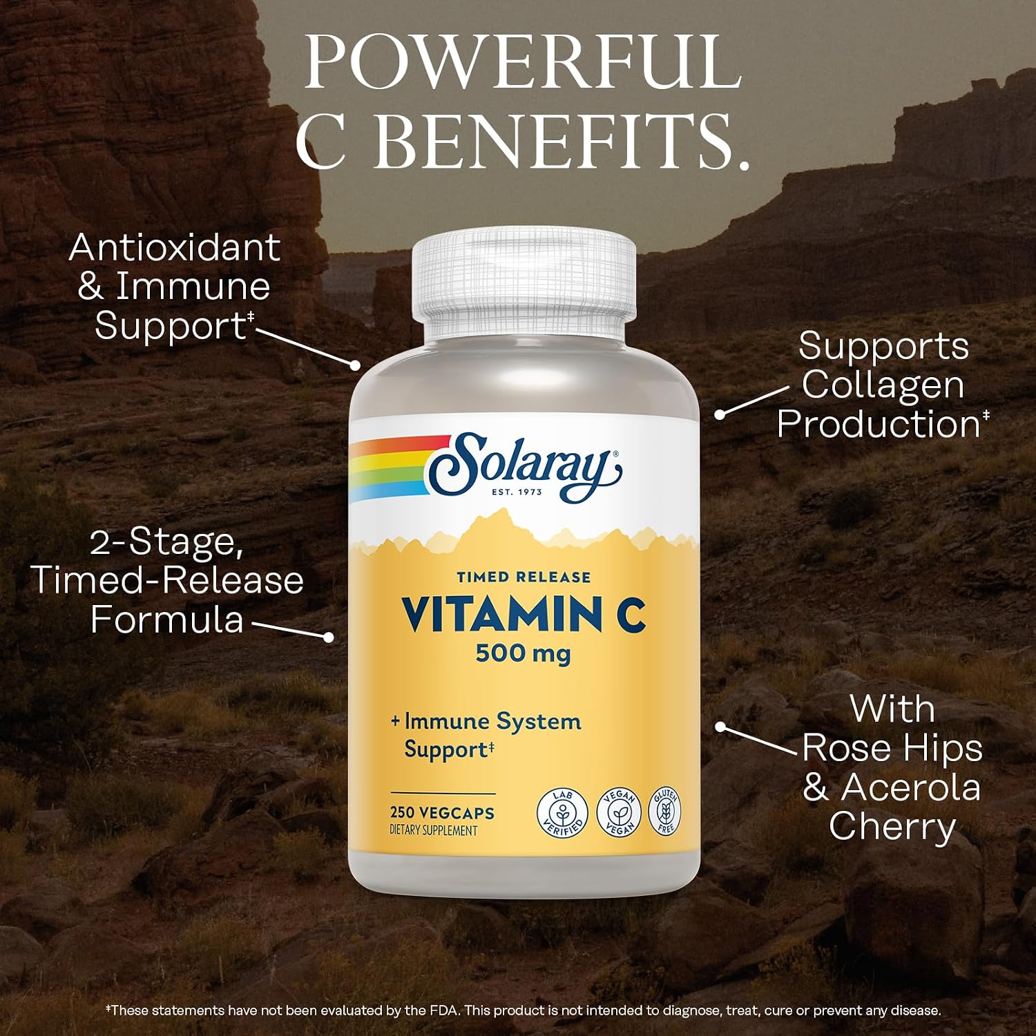 SOLARAY Vitamina C 500 mg, Liberación Gradual en Dos Fases - Antioxidante y Contribuye al Sistema Inmunitario - Vitamina C con Escaramujo y Acerola, Vegano, Sin Gluten, 250 Cápsulas Veganas