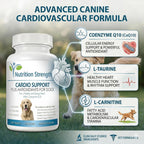 Nutrition Strength Cardio Support for Dogs with Antioxidants, L-Carnitine, L-Taurine, Coenzyme Q10 and Vitamin E, 120 Chewable Tablets