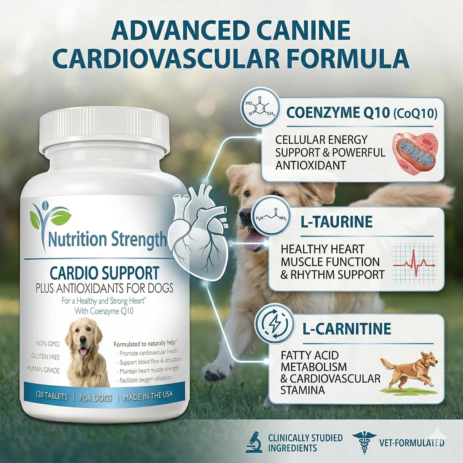Nutrition Strength Cardio Support for Dogs with Antioxidants, L-Carnitine, L-Taurine, Coenzyme Q10 and Vitamin E, 120 Chewable Tablets