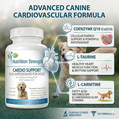 Nutrition Strength Cardio Support para Perros con Antioxidantes, L-Carnitina, L-Taurina, Coenzima Q10 y Vitamina E, 120 – Image 2