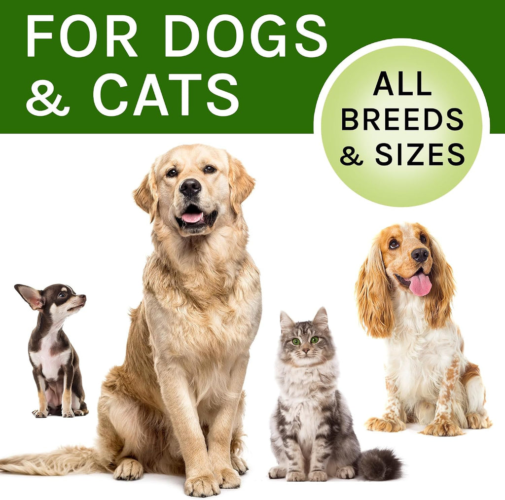 Kennel Cough Treatment para Perros y Gatos - Alivio de la Tos - Gotas Herbales - 60 ml