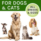 Kennel Cough Treatment para Perros y Gatos - Alivio de la Tos - Gotas Herbales - 60 ml