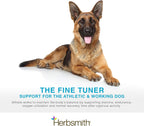 Herbsmith Athlete – Suplemento de resistencia para perros – 150g en polvo