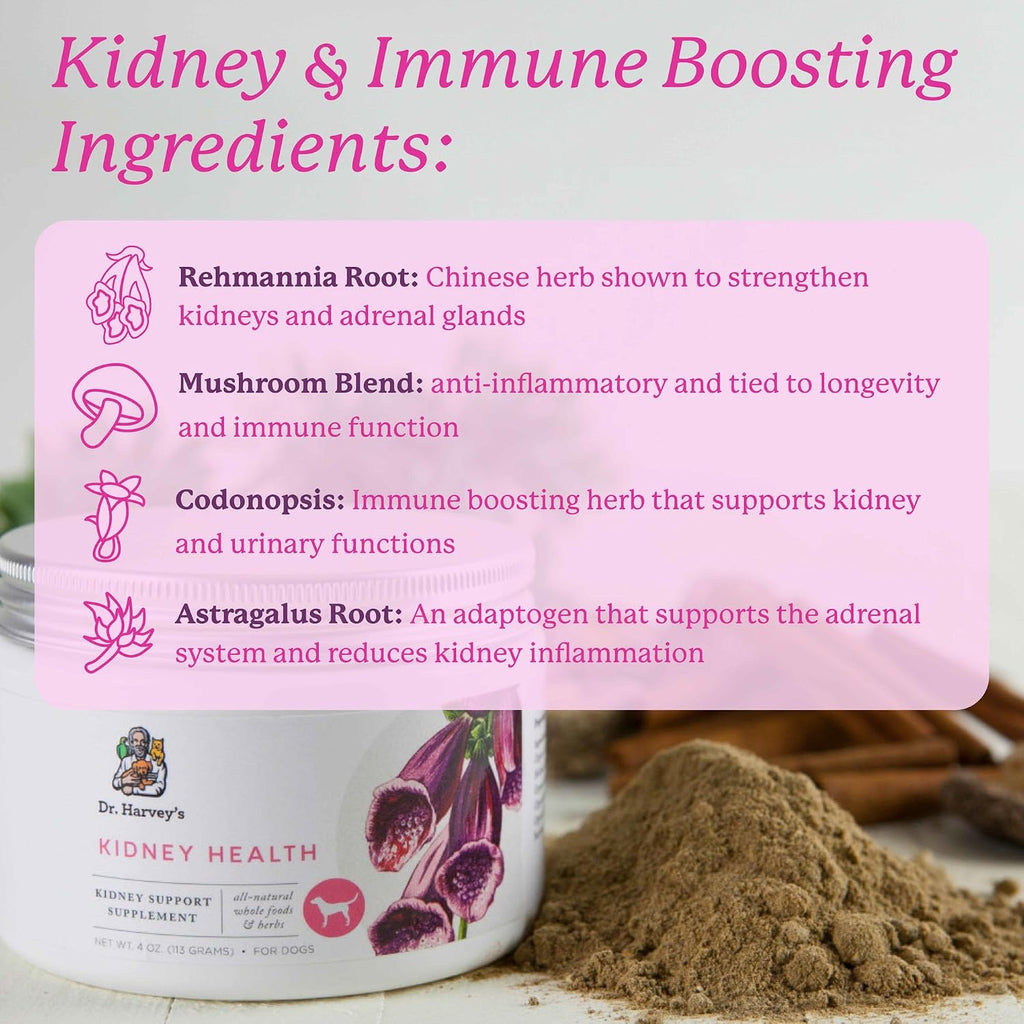 Dr. Harvey's Kidney Health - Suplemento de Apoyo Renal para Perros (113 g)