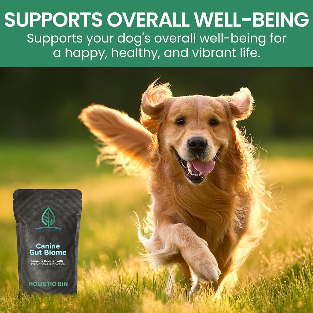 Canine Gut Biome Blend de Holistic Bin - Topper Nutricional con Probióticos y Prebióticos para Perros (50g)