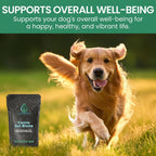 Canine Gut Biome Blend de Holistic Bin - Topper Nutricional con Probióticos y Prebióticos para Perros (50g)