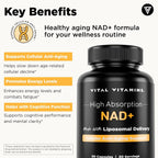 Vital Vitamins Suplemento NAD+ - NAD+ (Nicotinamida Adenina Dinucleótido) para Hombres y Mujeres - Con Administración Liposomal - Apoyo a la Vitalidad Celular, Energía, Concentración - 30 Días