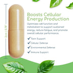 Cell Nutrients – Suplemento Mitocondrial para Reparación Celular, 120 Cápsulas
