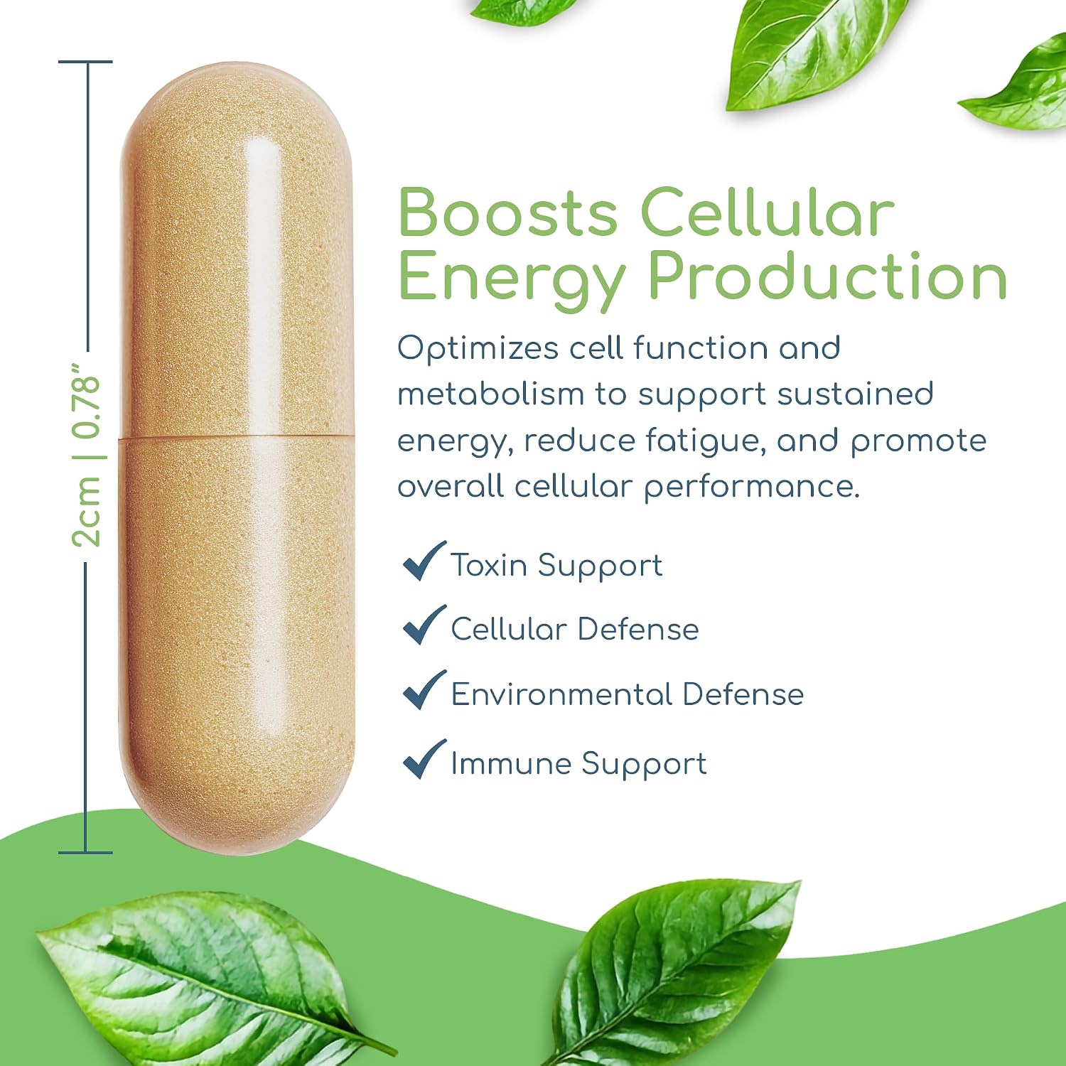 Cell Nutrients – Suplemento Mitocondrial para Reparación Celular, 120 Cápsulas