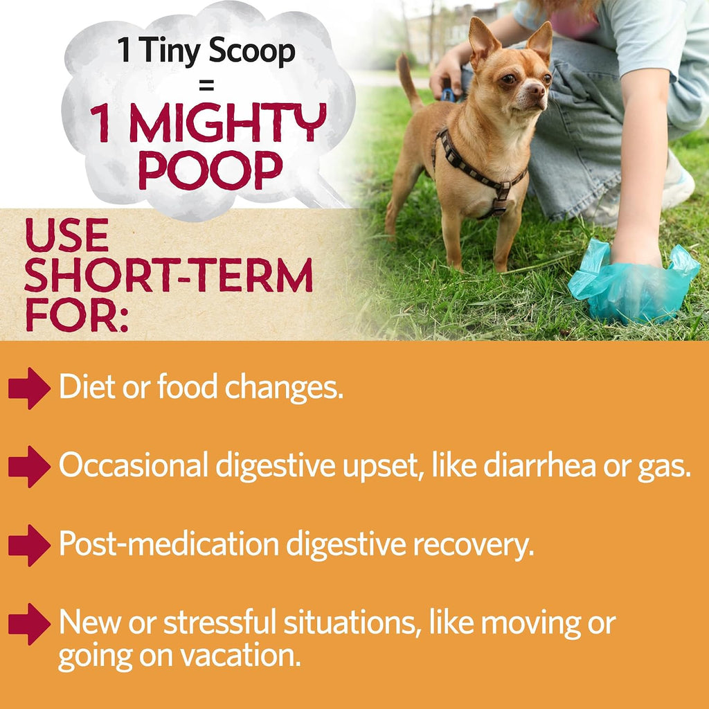Fidobiotics Probióticos para Perros con Calabaza - 7 Días de Servicio para la Salud Digestiva