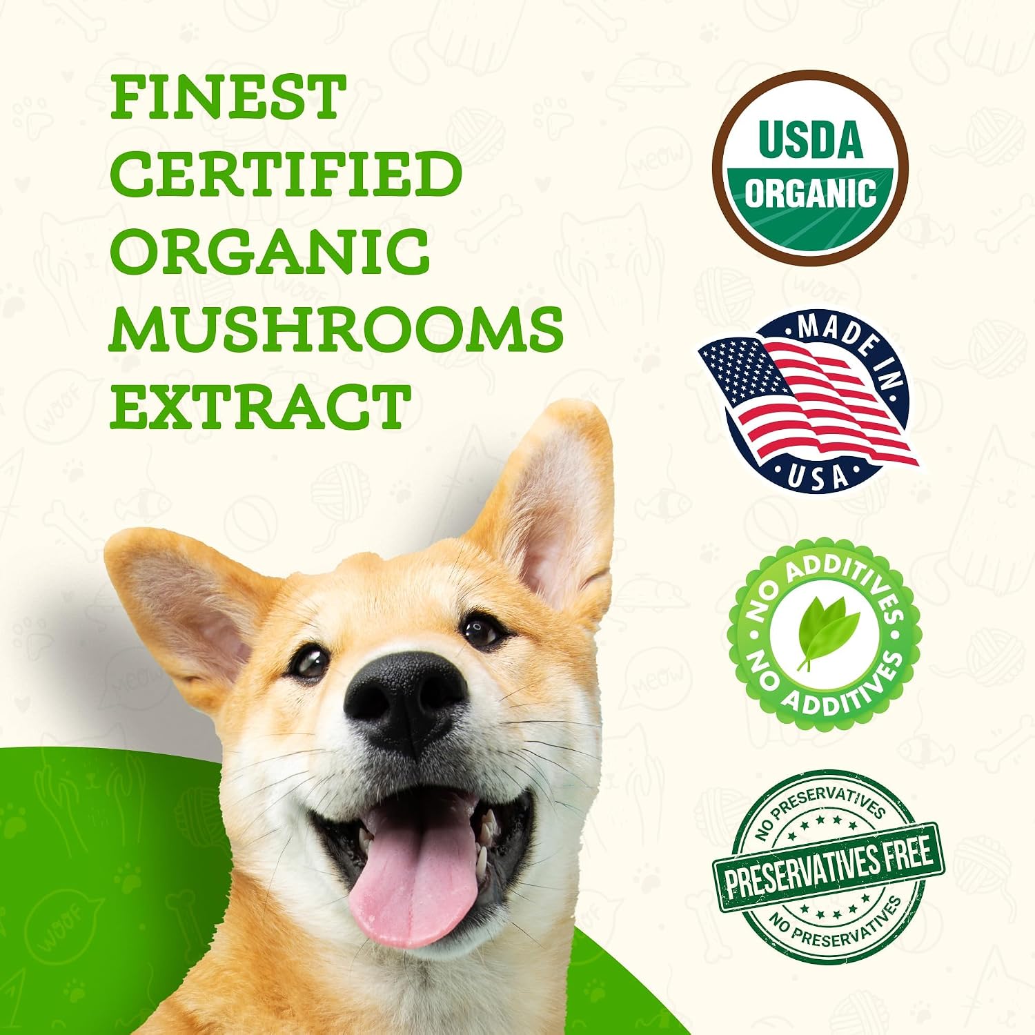 Animal Essentials Focus Lions Mane Mushroom Supplement para Perros y Gatos – 1.8 oz (51 g)