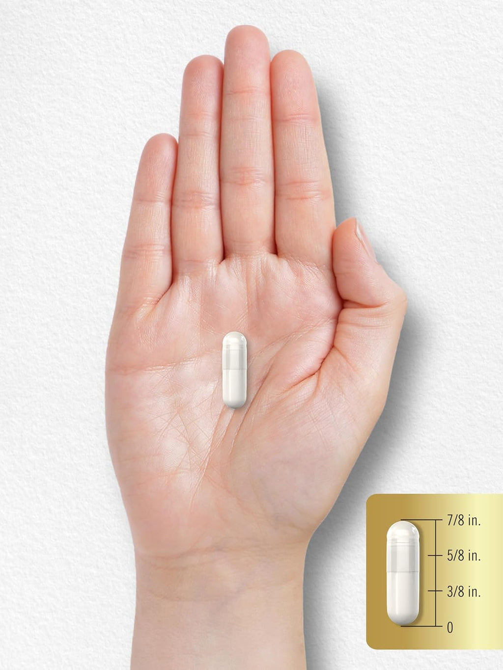 Carlyle Taurina 1000 mg - 400 Cápsulas - Aminoácido Esencial - Alta Potencia - Sin Gluten
