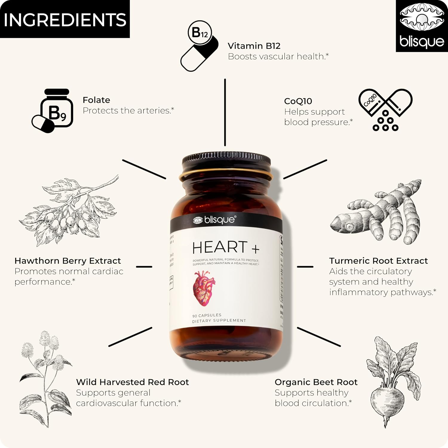 Blisque Heart+ – Apoyo Natural para la Presión Arterial y Salud Cardiovascular | Coenzima Q10, Espino Blanco, Remolacha, Cúrcuma | 90 Cápsulas