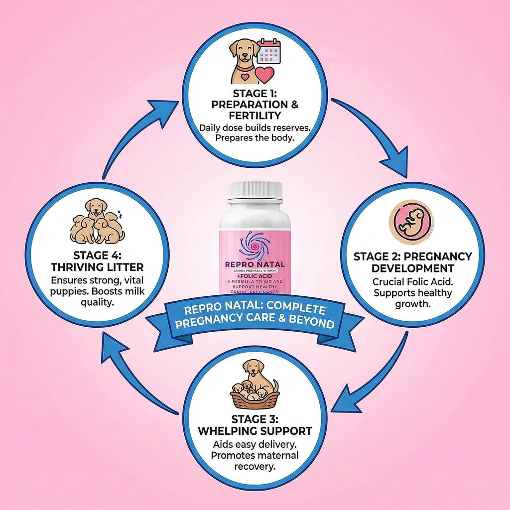 ReproNatal™ Cápsulas Multivitamínicas Prenatales para Perras - 60 Días