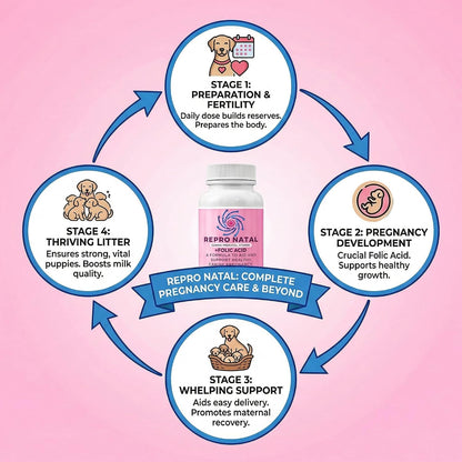 ReproNatal™ Cápsulas Multivitamínicas Prenatales para Perras - 60 Días – Image 2