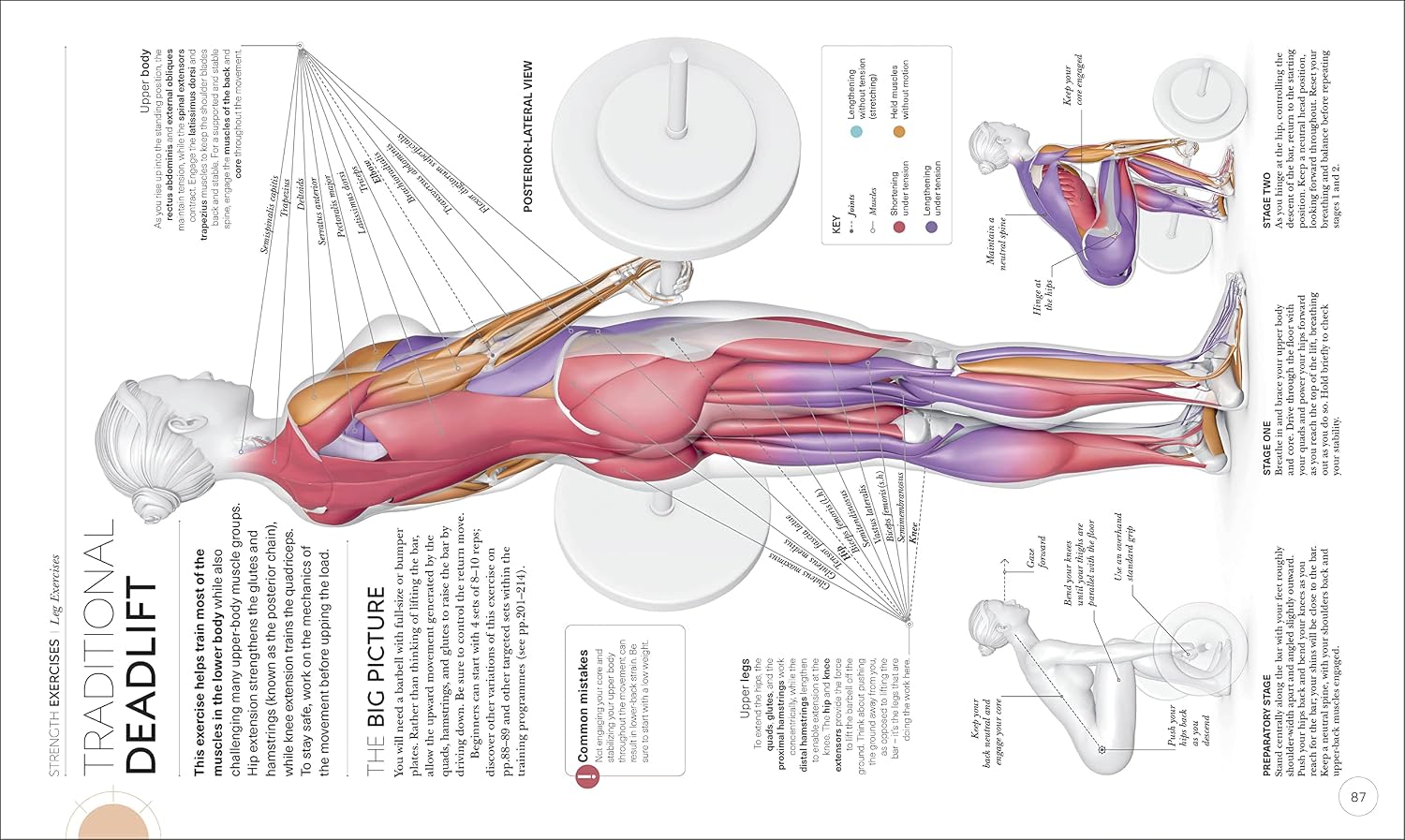 Science of Strength Training: Understand the Anatomy and Physiology to Transform Your Body
