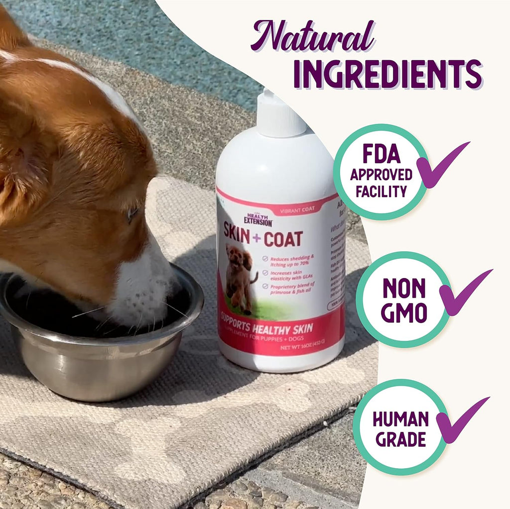 Health Extension Suplemento de Piel y Pelaje con Omega 3 y 6 para Perros, 16 oz