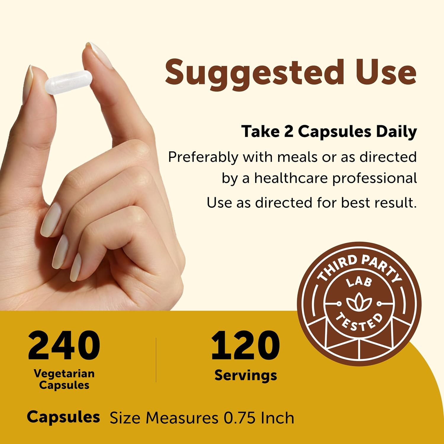 Micro Ingredients Multivitamínico Bariátrico Metilado con 45mg de Hierro para Mujeres y Hombres, 240 Cápsulas Vegetales | 23 Vitaminas Esenciales con D3, K2, Zinc y Más | Sin Rellenos, No Transgénico