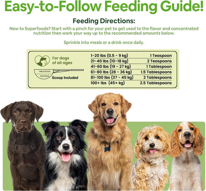 Dog Greens Superfood Multivitamin Powder – Image 8