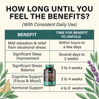 CortiRest – Reductor de Cortisol y Apoyo Suprarrenal con Ashwagandha KSM-66, Magnesio, L-Teanina, Rodiola, Apigenina, Cúrcuma y Vitamina D3