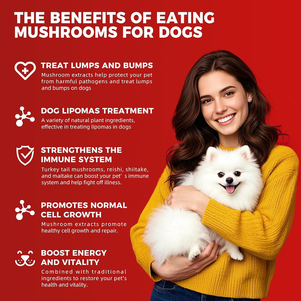 VivaElixir Suplemento para Bultos en Perros - Masticables Inmunológicos con Hongos y Curcumina, 150 uds