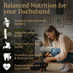 Prestige Breed Multivitamínicos, Nutrición Equilibrada para Dachshund, 90 unidades, Hecho en EE. UU. con auténtico Bacon
