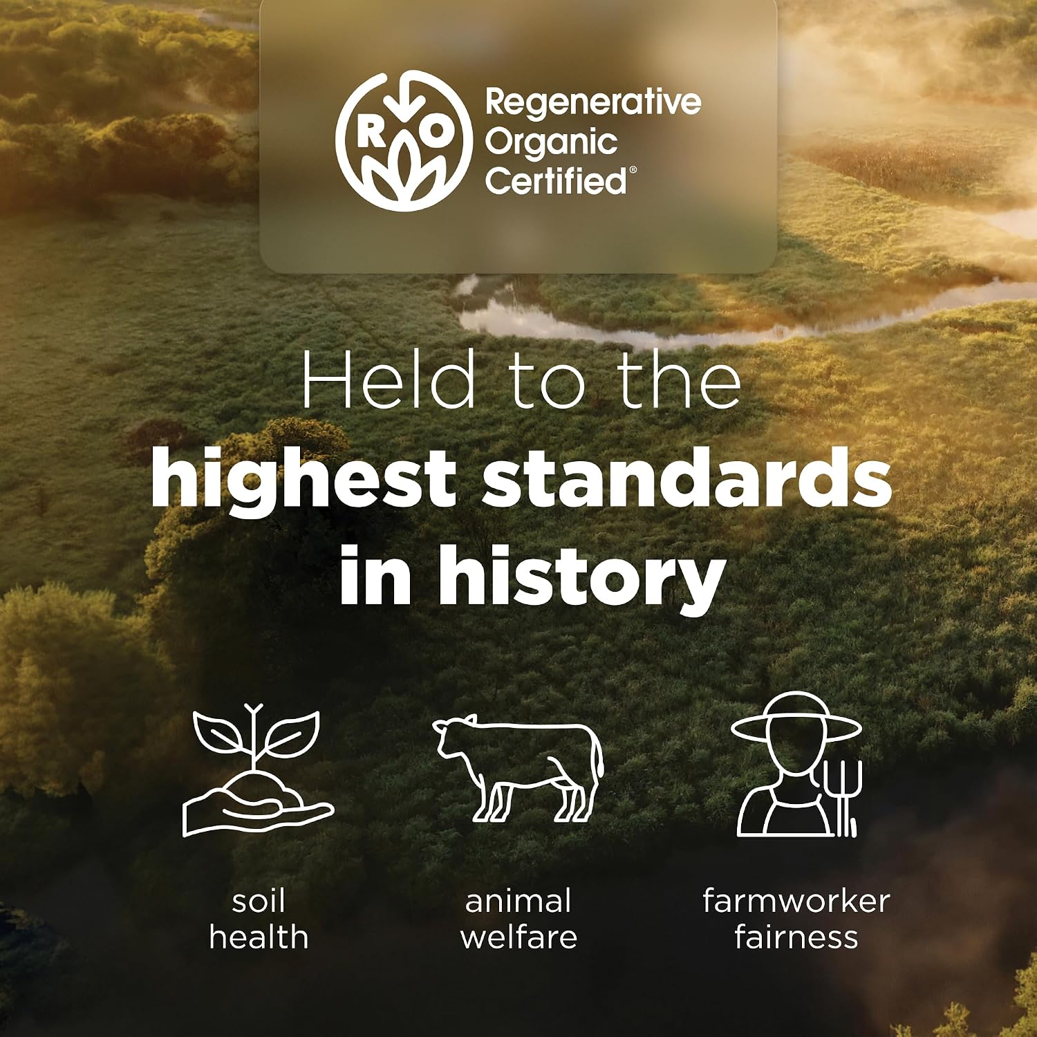 Ancient Nutrition Probióticos para Mujeres Extra Strength, Certificado Orgánico Regenerativo, 25 Mil Millones de UFC por Dosis, 60 Cápsulas