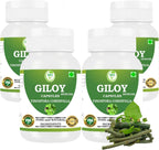 Morsan's Giloy (Tinospora Cordifolia) Cápsulas - 60 cápsulas de 500 mg