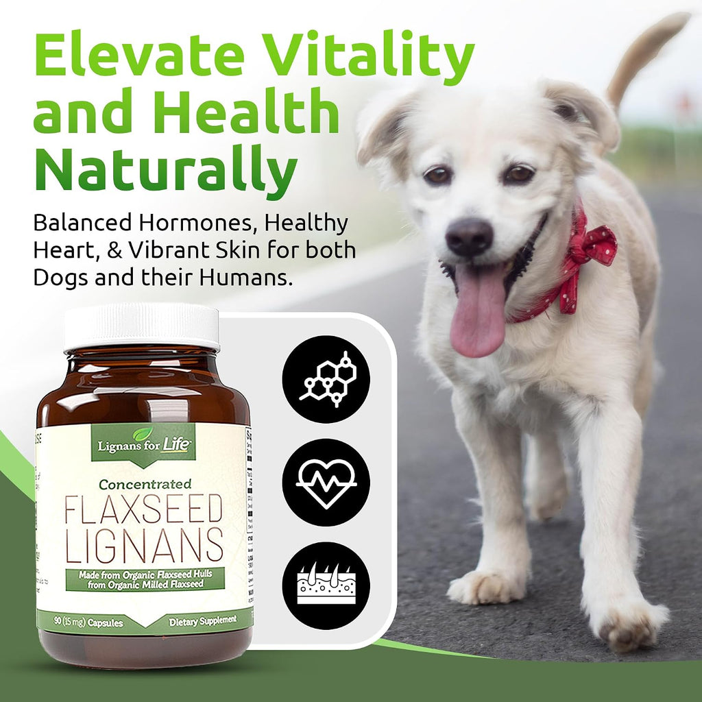 Lignans For Life Lignanos de Linaza - Suplemento Orgánico de Lignanos de Linaza para Perros y Personas, 15mg, 90 Cápsulas