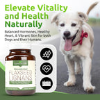 Lignans For Life Lignanos de Linaza - Suplemento Orgánico de Lignanos de Linaza para Perros y Personas, 15mg, 90 Cápsulas