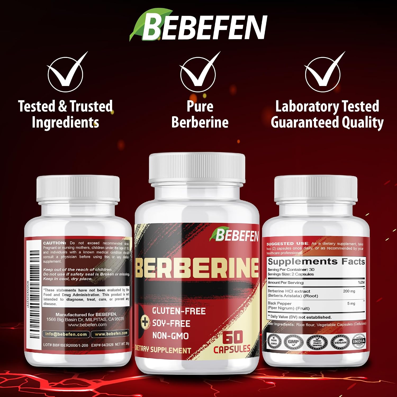 Berberina HCL Suplemento - 60 Cápsulas - No OGM | Sin Gluten
