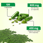 Cápsulas de Moringa Pura - Extracto de Hoja de Moringa para Energía Natural, Digestión y Bienestar Diario | Superfood Verde Vegano | 120 Cápsulas (800mg)