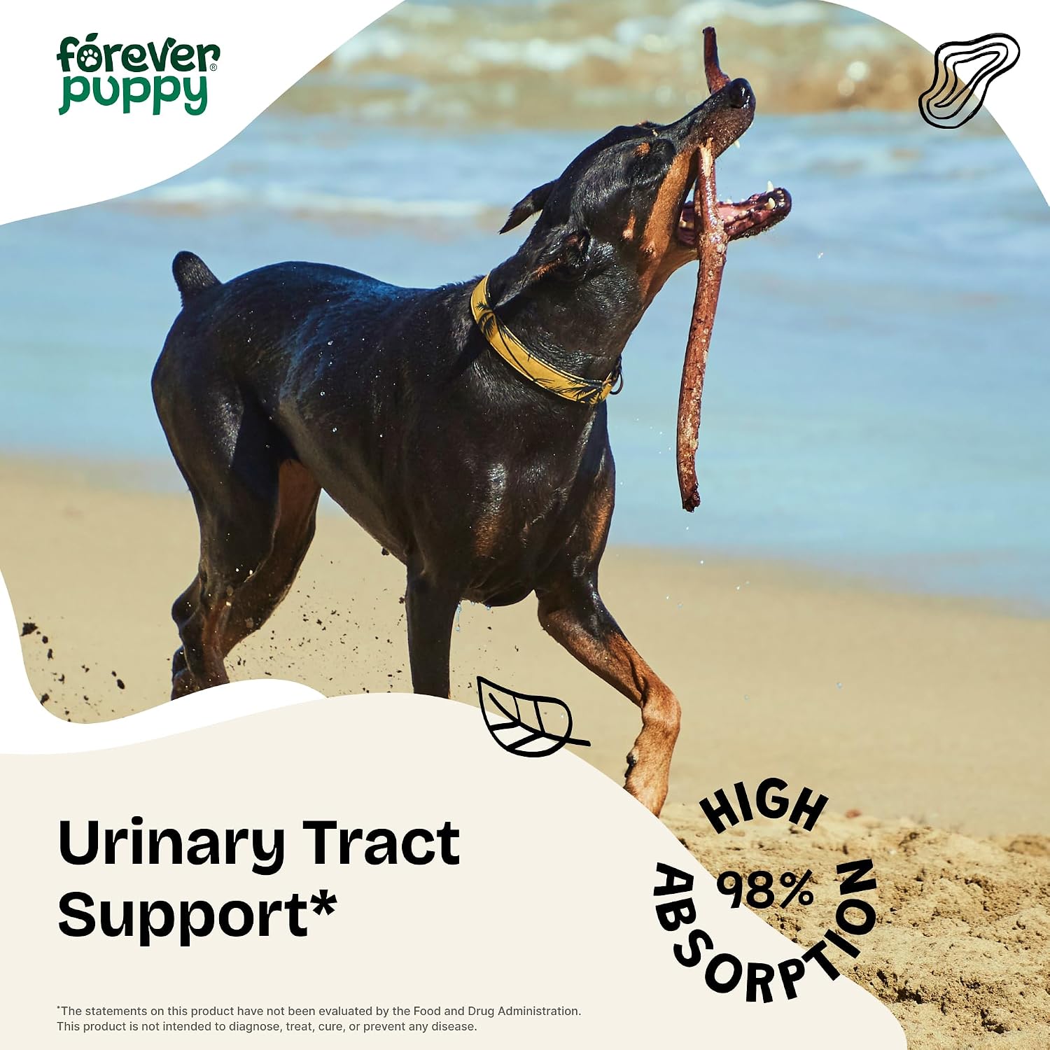Forever Puppy Gotas para el Tracto Urinario de Perros - Suplemento Natural para la Vejiga con Seda de Maíz y Chanca Piedra - Sin Azúcar ni Alcohol - 60 ml