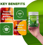 Vitamatic Moringa Gummies – Sin Azúcar – Extracto 50:1 – Superalimento Verde – A base de Pectina – Vegano – No transgénico – 240 Gominolas