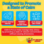 Calm & Focus Drops - Suplemento de apoyo cognitivo con L-teanina, GABA y Huperzina A (60 ml)