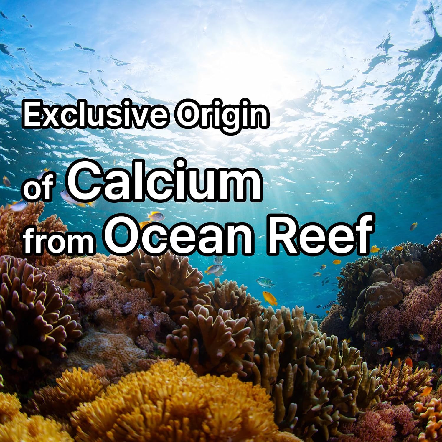 Eleotin Waikiki Vitamina D3 y Coral de Okinawa Calcio - 120 Cápsulas
